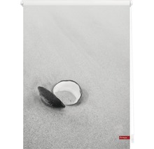 Rollo mit Muscheldruck für Fenster