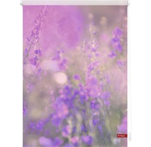 Klemmrollo Lichtblick ohne Bohren Blumenwiese lila 45x150 cm inkl. Klemmträger