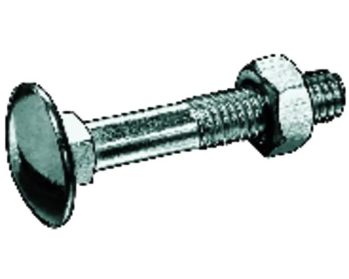 Vis à tête bombée avec écrou