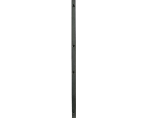 <p>Rail de guidage DeWalt DE6292-XJ</p> Poteau métallique avec trous pré-percés