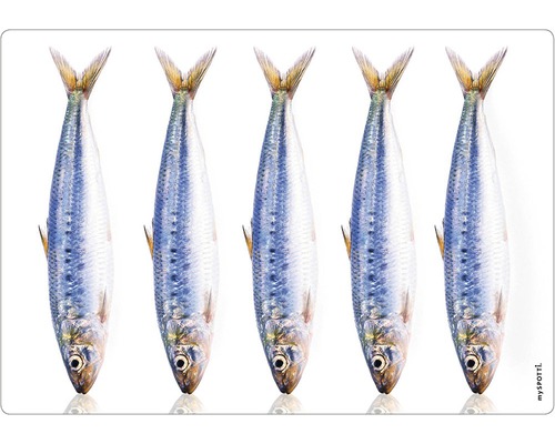 Küchenrückwand mySPOTTI pop Fische 59x41 cm Dekorative Fußmatte mit Sardinen Motiv