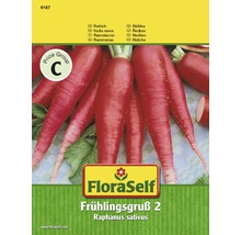 FloraSelf Graines de radis Frühlingsgruß 2