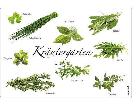 Küchenrückwand mySPOTTI pop Kräutergarten 59x41 cm Abbildung verschiedener Kräuter wie Petersilie, Schnittlauch, Basilikum, Salbei, Oregano, Rucola, Rosmarin, Bohnenkraut und Thymian