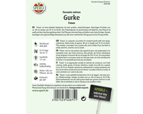 Samenpackung Gurke Fatum
