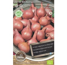 Steckzwiebel BIO Schalotten 'Red Sun' grün 125 g