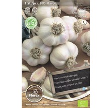 Tubercule BIO Ail 'Flavor' blanc, 1 pièce