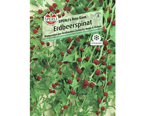Épinard-fraise 'Rote Gans' semences de légumes Sperli