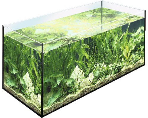 Aquarium EHEIM 60 x 30 x 30 cm, env. 54 l