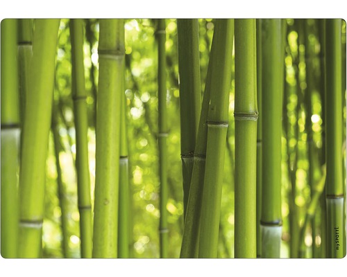 Crédence mySPOTTI Bambou 59x41 cm