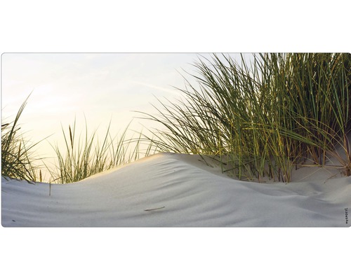 Panneau mural salle de bains mySPOTTI aqua Dune 90x45 cm Dune avec roseau des sables dans le sable