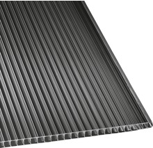 Panneau alvéolé/Entretoise Gutta en polycarbonate transparent 10,7-10 bronze 2000 mm x 1050 mm x 10 mm