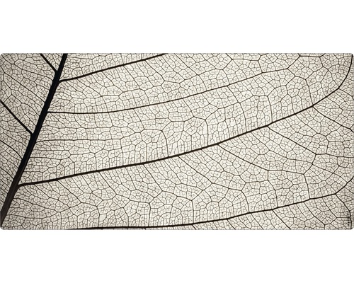 Panneau mural salle de bains mySPOTTI aqua Structure 90x45 cm Gros plan sur le squelette d''une feuille