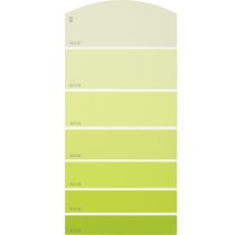 Carte échantillon de peinture G12 univers des couleurs vert 21x10 cm-thumb-0