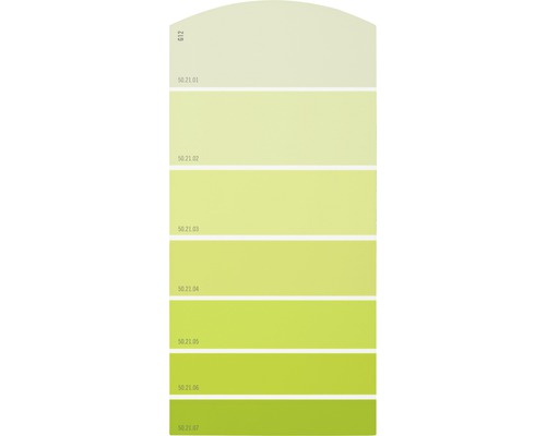 Carte échantillon de peinture G12 univers des couleurs vert 21x10 cm