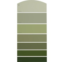 Farbmusterkarte Farbtonkarte G30 Farbwelt grün 21x10 cm-thumb-0