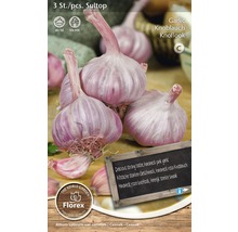 Sultop Knoblauchpackung mit drei Stück