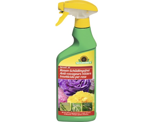 Schädlingsfrei Pumpsprüher Neudorff Spruzit 500 ml Neudorff Spruzit AF Spray gegen Rosenschädlinge