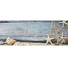 Dekorative Szene mit Holz, Sand, Muscheln, Seesternen und Fischernetz
