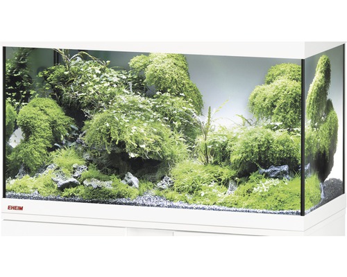 Aquarium, Glasbecken EHEIM GB 62 vivalineLED 150, ca. 61 x 51 x 54 cm, ca. 150 l, nur mit oberer Blende weiß, ohne Beleuchtung und weitere Technik, ohne Inhalt Eingerichtetes Aquarium mit Wasserpflanzen und Bodengrund