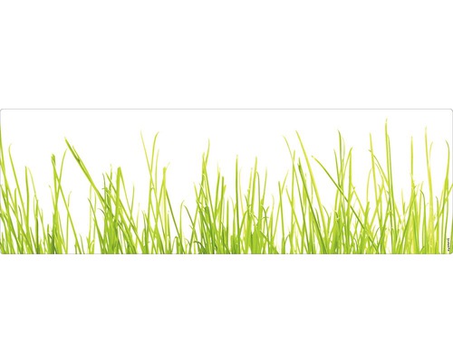 Panneau mural salle de bains mySPOTTI aqua herbe 140x45 cm Brins d''herbe