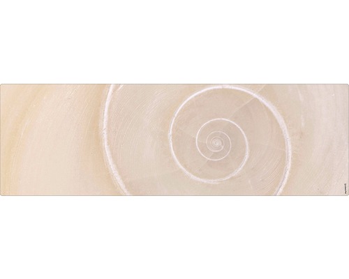 Panneau mural salle de bains mySPOTTI aqua escargot 140x45 cm Gros plan d''une structure de coquille d''escargot en spirale claire