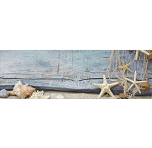 Dekoratives Arrangement mit Muscheln, Seesternen und Fischernetz auf Sand vor einem Holzhintergrund
