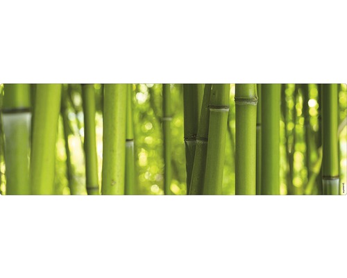 Panneau mural salle de bains mySPOTTI aqua Bambou 140x45 cm Forêt de bambous avec des tiges rapprochées
