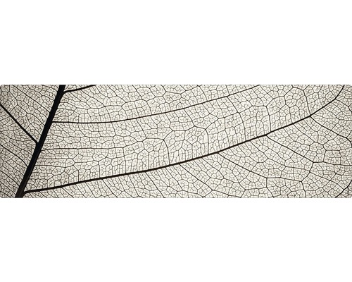 Panneau mural salle de bains mySPOTTI aqua Structure 140x45 cm Gros plan de la structure du squelette d''une feuille