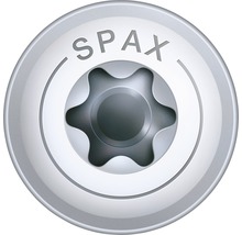 Detailansicht eines Spax Schraubenkopfes