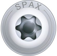 Gros plan d'une tête de vis Spax