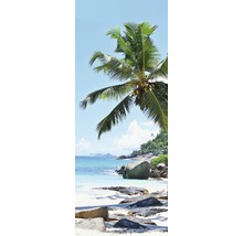Strandansicht mit Felsen und Palme