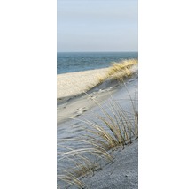 Dune avec oyat de mer devant la mer