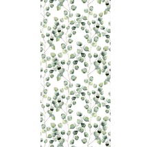 Eukalyptus Blätter Muster