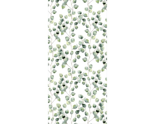Eukalyptus Blätter Muster