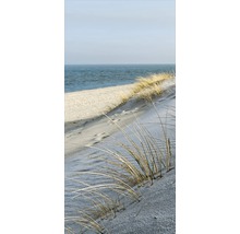Oyat sur une dune au bord de la mer