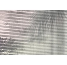 Betonwand mit Schatten von Blättern und Jalousien