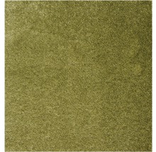 Teppichboden Shag Calmo grün 500 cm breit (Meterware)-thumb-0