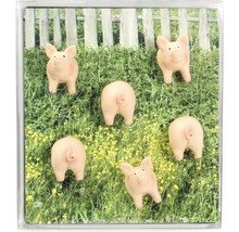 Dekomagnet Piggy pink 6er-Set