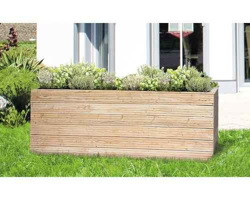 Jardinière surélevée classique 200 x 100 x 72 cm mélèze Jardinière en bois avec des herbes dans le jardin