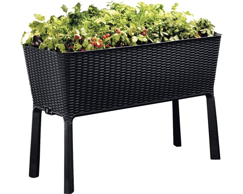 Hochbeet aus Kunststoff mit Pflanzen