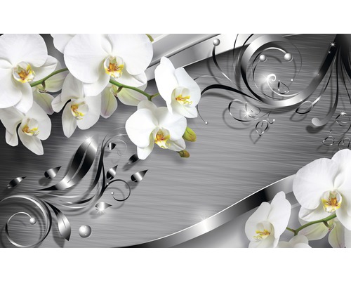 Papier peint panoramique intissé 2158 VEXXXL Ornament Orchidee 4 pces 415 x 254 cm Image murale décorative avec des orchidées et des ornements argentés