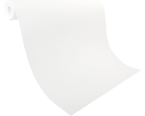 Rouleau de non-tissé de peintre pour recouvrir et protéger