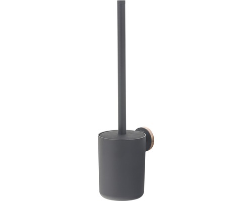Brosse de toilette avec support mural