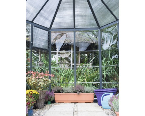 Innenansicht eines Gewächshauses mit Pflanzen und Gartenutensilien