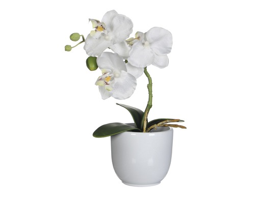 Fleur artificielle Orchidée H 26 cm blanc