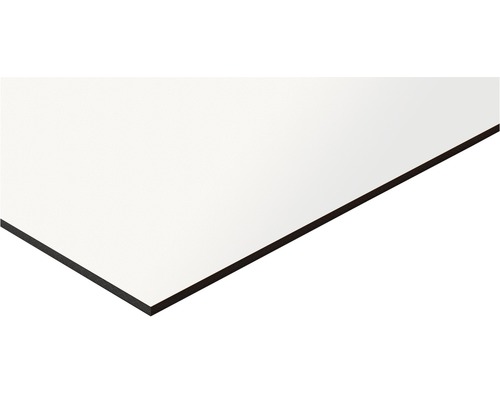 Panneau compact blanc dimensions fixes 1200x600x3 mm