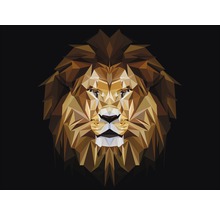 Leinwandbild Abstract Animal Head II 84x116 cm