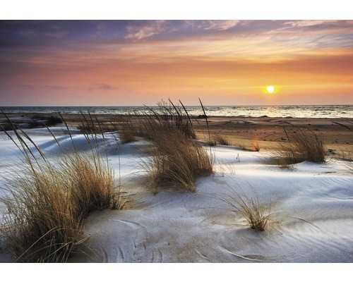 Leinwandbild Helmgras & Dunes 116x80 cm Landschaftsansicht des Strandes mit Gras und Sonnenuntergang