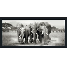 Dekoratives Wandbild mit einer Elefantenherde in der Savanne