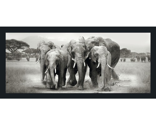 Wandbild Elephant Herd 60x130 cm Dekoratives Wandbild mit einer Elefantenherde in der Savanne